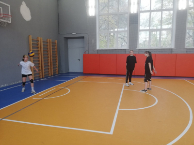 ТОВАРИЩЕСКАЯ ИГРА ПО ВОЛЕЙБОЛУ